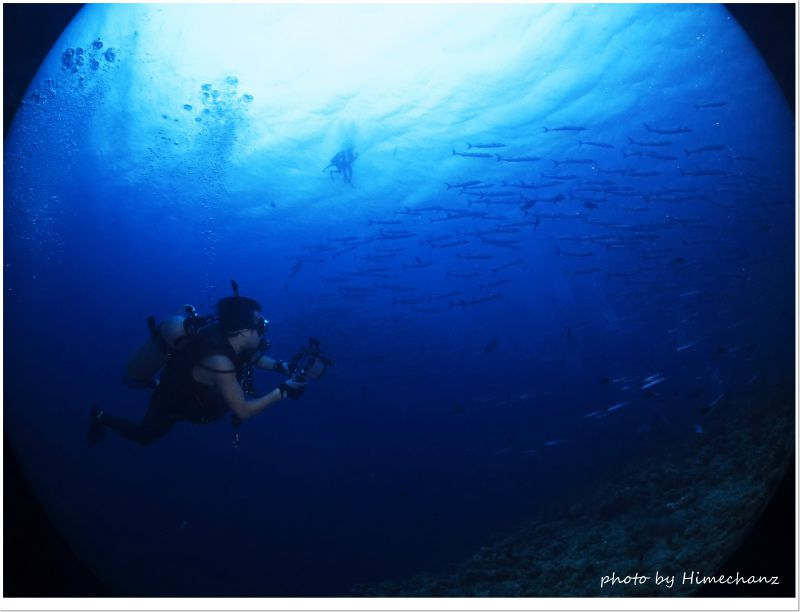 初めてのパラオのきょうちゃん、夢中に撮影してました♪ photo by CANON PowerShot S100