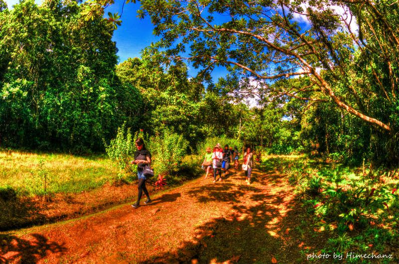 まずはジャングルの中を散策です♪ photo by Nikon D300