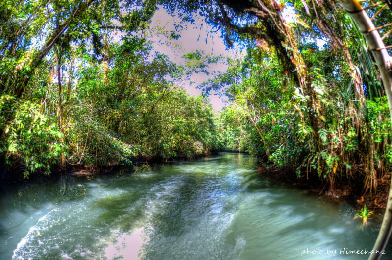 ジャングルリバーを心地よくクルージングします♪ photo by Nikon D300