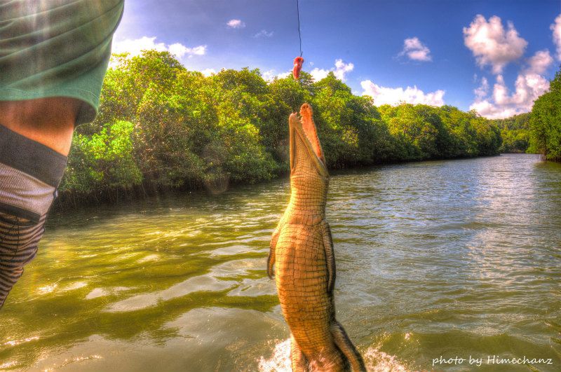 ワニが喰らいついた!!! photo by Nikon D300