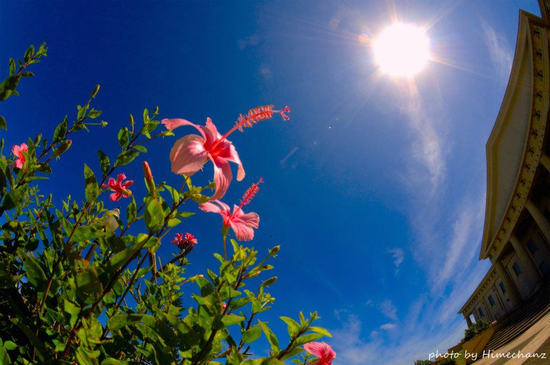 めちゃくちゃ天気が良くて超気持ちいい♪ photo by Nikon D300