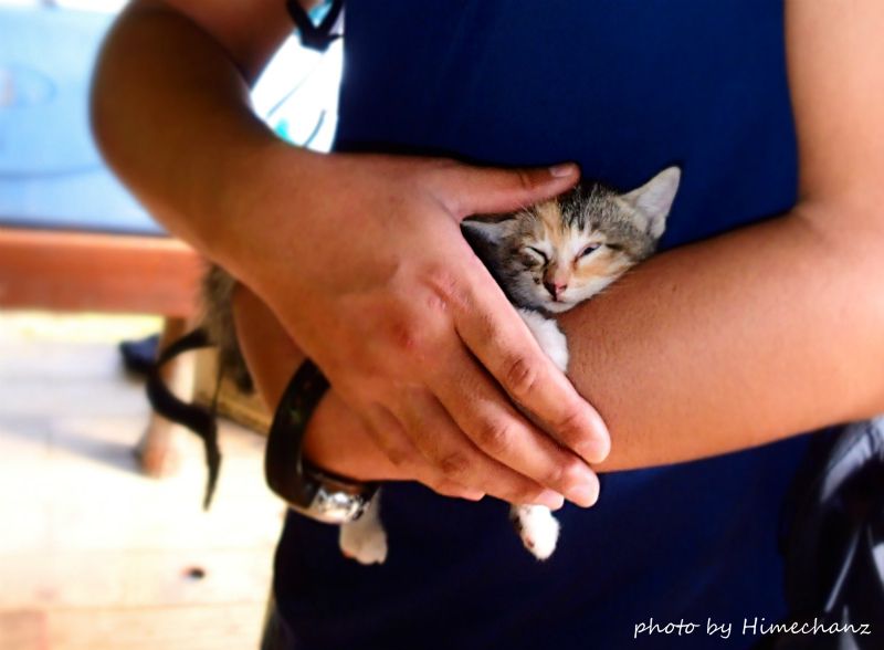 子にゃんこにメロメロ♪ photo by OLYMPUS STYLUS TG-2 Tough