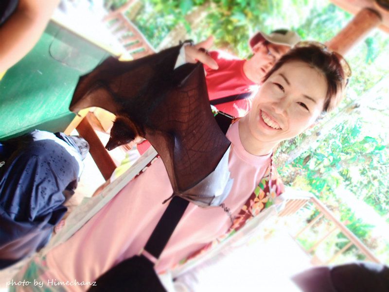 動物好きのうのげ、コウモリと戯れ中♪ photo by OLYMPUS STYLUS TG-2 Tough